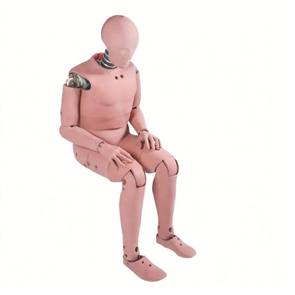 50百分位男性假人